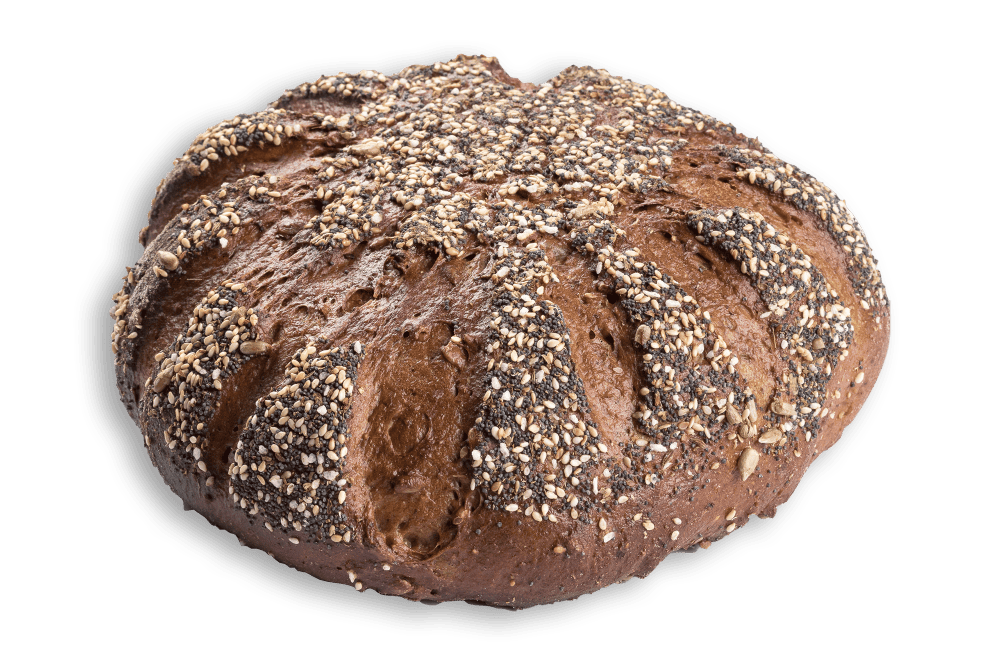 spezialbrot fitbrot